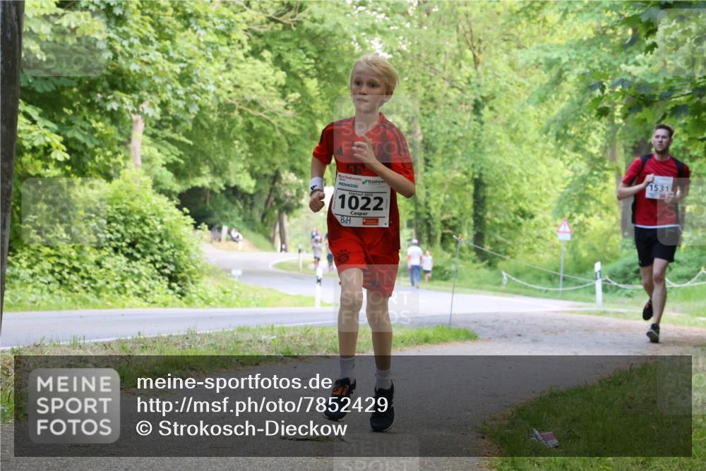 17.05.2025 - Störlauf Strokosch-Dieckow http://msf.ph/oto/7852429 17.05.2025 14:38:20 Laufen 2025, 1022, 1531 meine-sportfotos.de