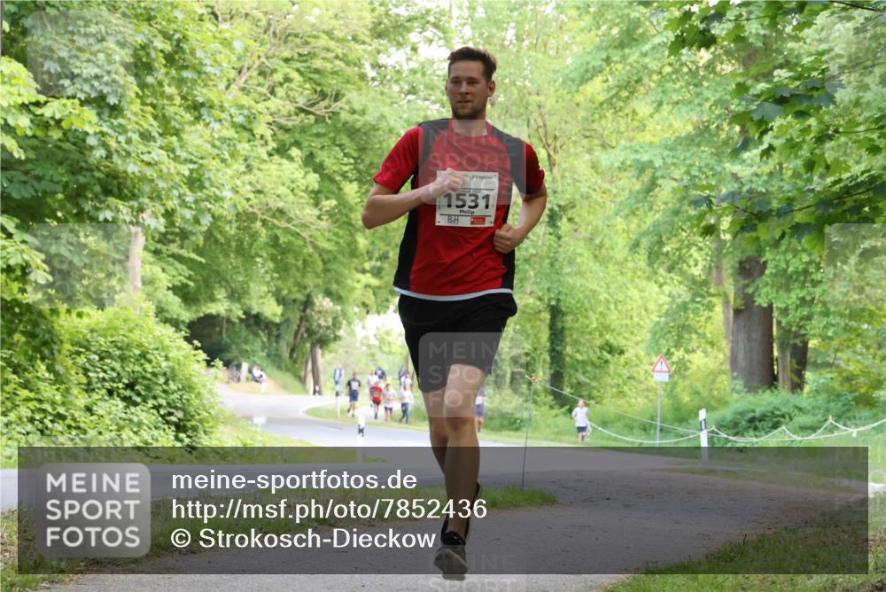 17.05.2025 - Störlauf Strokosch-Dieckow http://msf.ph/oto/7852436 17.05.2025 14:38:23 Laufen 1531 meine-sportfotos.de
