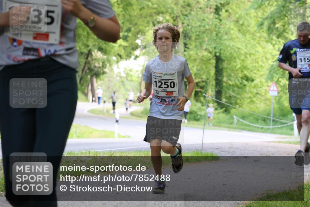 17.05.2025 - Störlauf Strokosch-Dieckow http://msf.ph/oto/7852488 17.05.2025 14:38:59 Laufen 35, 115, 2025, 1250 meine-sportfotos.de