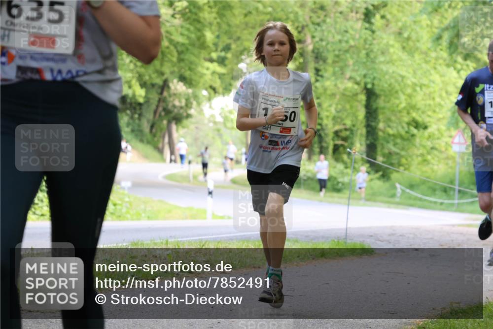 17.05.2025 - Störlauf Strokosch-Dieckow http://msf.ph/oto/7852491 17.05.2025 14:38:59 Laufen 635, 150, 1 meine-sportfotos.de