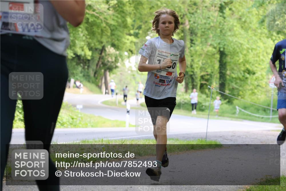17.05.2025 - Störlauf Strokosch-Dieckow http://msf.ph/oto/7852493 17.05.2025 14:38:59 Laufen  meine-sportfotos.de