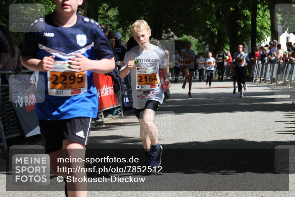 17.05.2025 - Störlauf Strokosch-Dieckow http://msf.ph/oto/7852512 17.05.2025 15:30:49 Ziel  meine-sportfotos.de