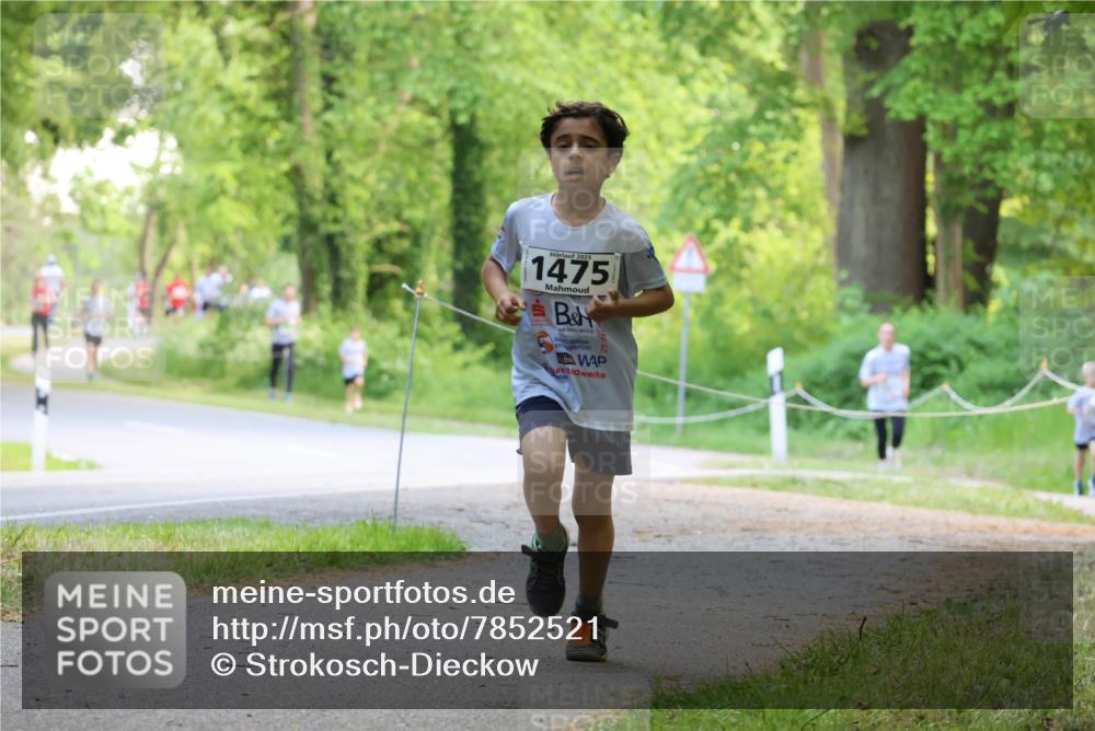 17.05.2025 - Störlauf Strokosch-Dieckow http://msf.ph/oto/7852521 17.05.2025 14:39:08 Laufen 2025, 1475 meine-sportfotos.de