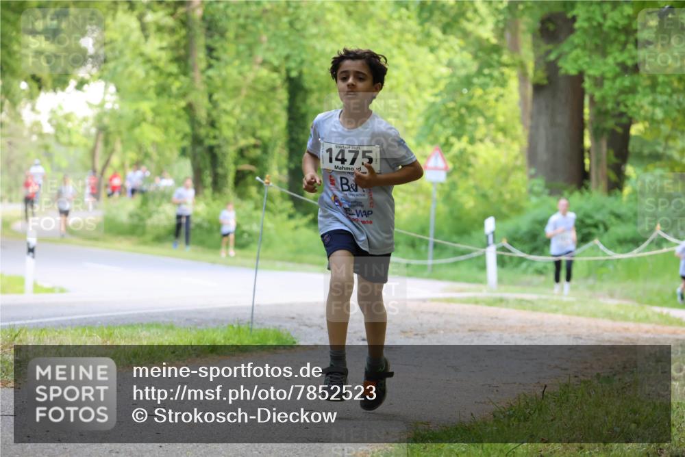 17.05.2025 - Störlauf Strokosch-Dieckow http://msf.ph/oto/7852523 17.05.2025 14:39:08 Laufen 2025, 1475 meine-sportfotos.de