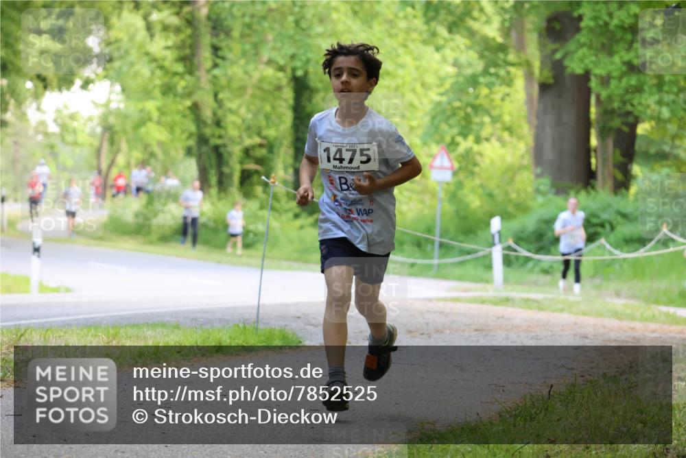 17.05.2025 - Störlauf Strokosch-Dieckow http://msf.ph/oto/7852525 17.05.2025 14:39:08 Laufen 2025, 1475 meine-sportfotos.de