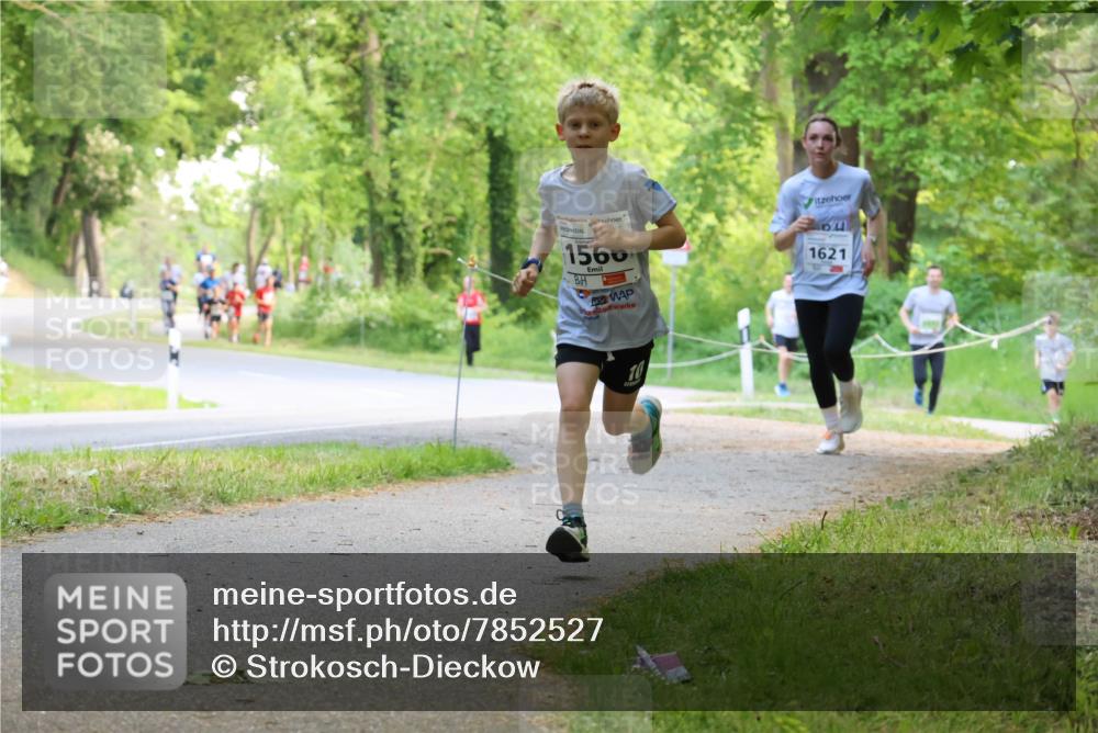 17.05.2025 - Störlauf Strokosch-Dieckow http://msf.ph/oto/7852527 17.05.2025 14:39:22 Laufen 1560, 1621, 10 meine-sportfotos.de