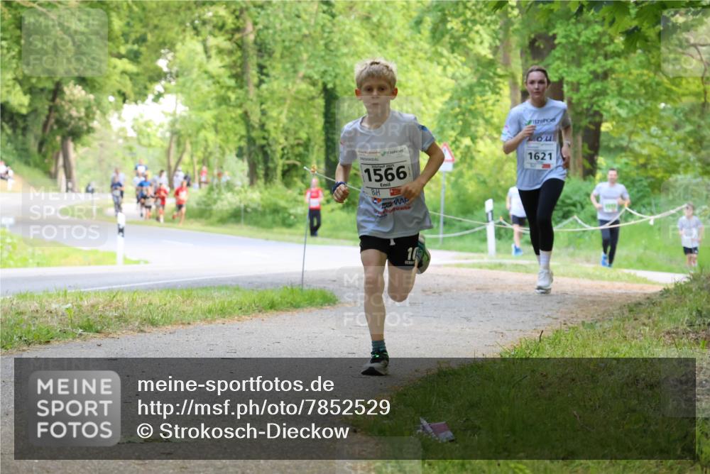 17.05.2025 - Störlauf Strokosch-Dieckow http://msf.ph/oto/7852529 17.05.2025 14:39:22 Laufen 2025, 1566, 1621 meine-sportfotos.de