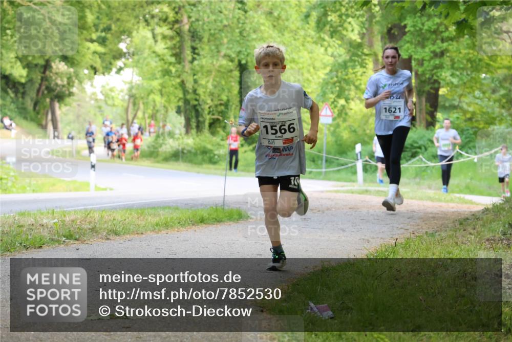 17.05.2025 - Störlauf Strokosch-Dieckow http://msf.ph/oto/7852530 17.05.2025 14:39:22 Laufen 2025, 1566, 1621, 70 meine-sportfotos.de