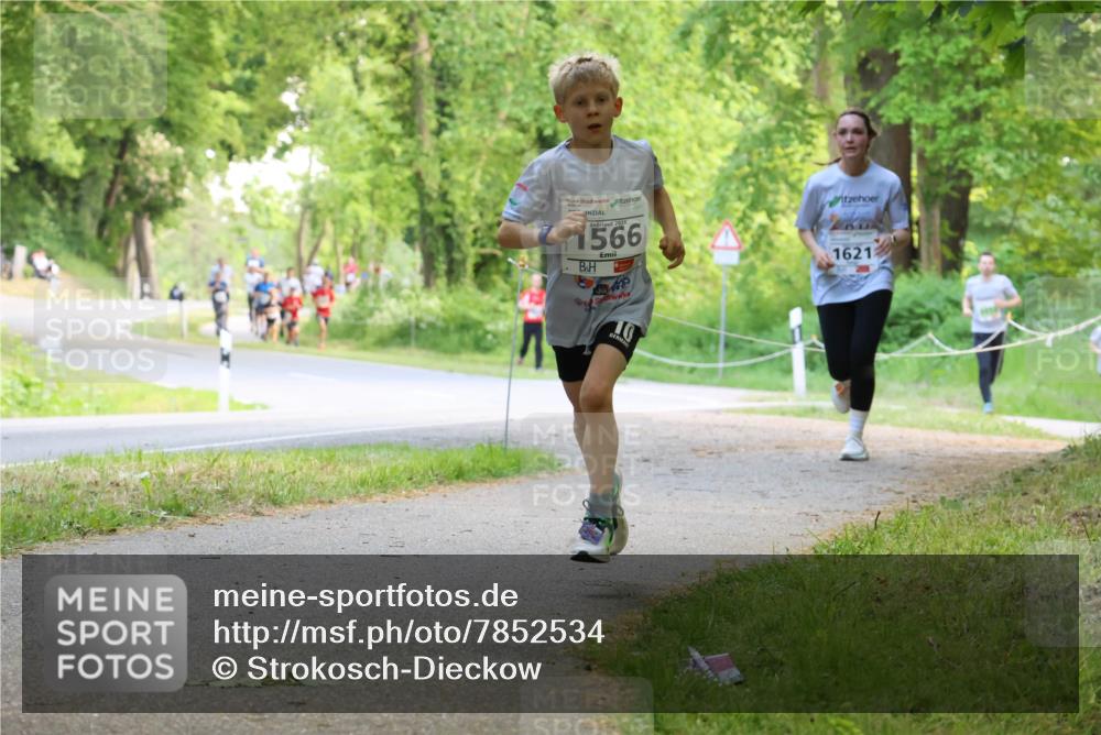 17.05.2025 - Störlauf Strokosch-Dieckow http://msf.ph/oto/7852534 17.05.2025 14:39:23 Laufen 2025, 1566, 1621, 65 meine-sportfotos.de