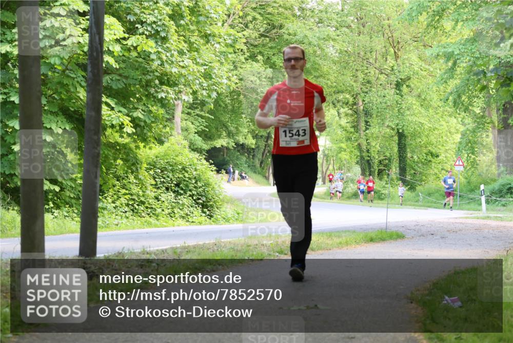 17.05.2025 - Störlauf Strokosch-Dieckow http://msf.ph/oto/7852570 17.05.2025 14:39:48 Laufen 1543 meine-sportfotos.de
