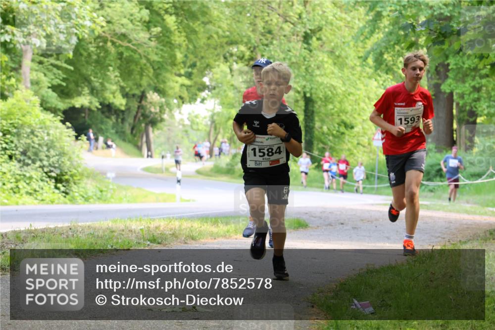 17.05.2025 - Störlauf Strokosch-Dieckow http://msf.ph/oto/7852578 17.05.2025 14:39:53 Laufen 90, 1584, 1593 meine-sportfotos.de
