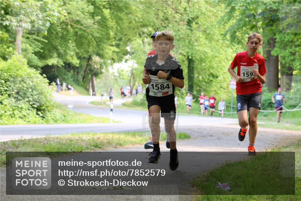17.05.2025 - Störlauf Strokosch-Dieckow http://msf.ph/oto/7852579 17.05.2025 14:39:53 Laufen 2025, 1584, 159 meine-sportfotos.de