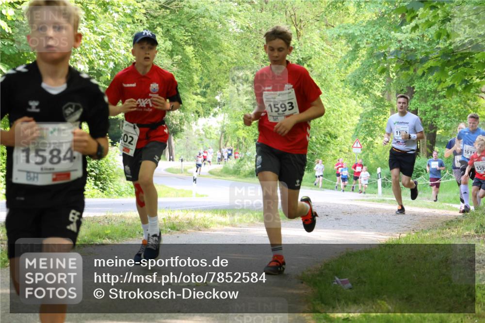 17.05.2025 - Störlauf Strokosch-Dieckow http://msf.ph/oto/7852584 17.05.2025 14:39:55 Laufen 1584, 02, 1593, 11, 1615, 1599 meine-sportfotos.de