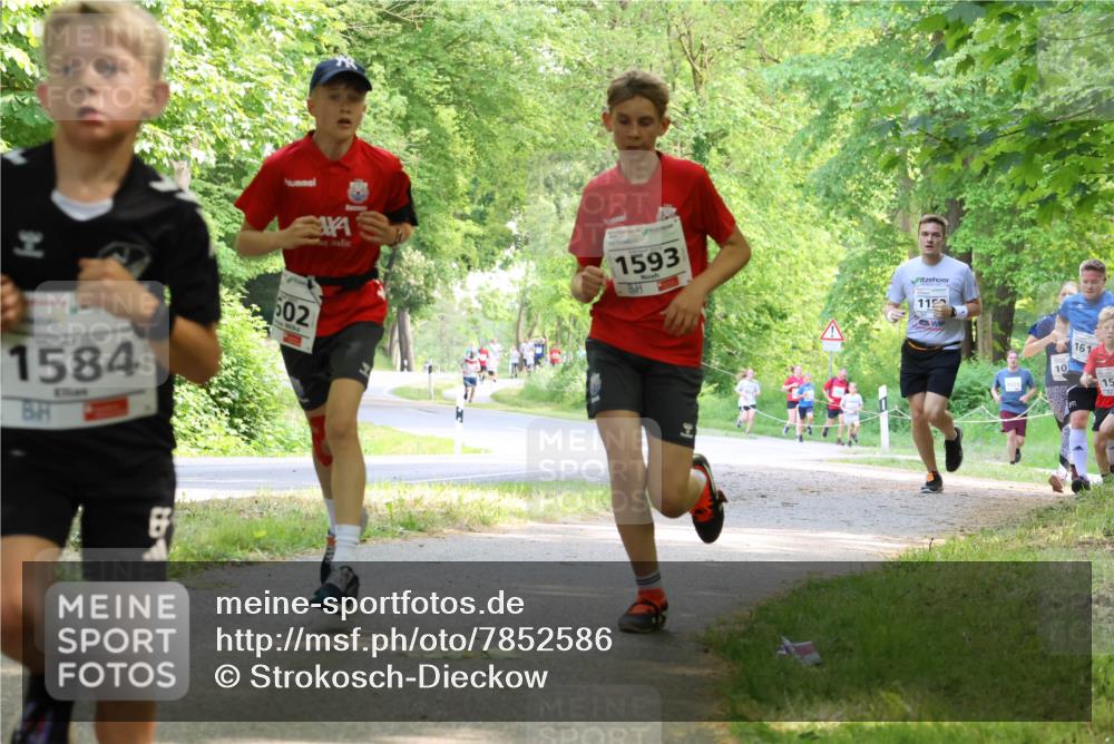 17.05.2025 - Störlauf Strokosch-Dieckow http://msf.ph/oto/7852586 17.05.2025 14:39:55 Laufen 1584, 602, 1593, 115, 161, 10, 15 meine-sportfotos.de