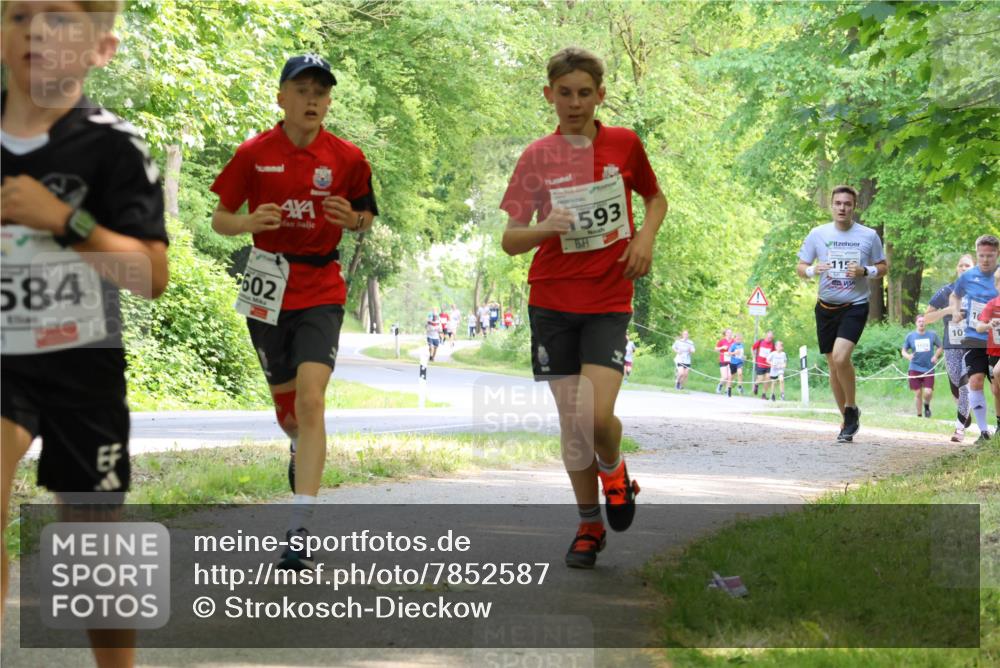 17.05.2025 - Störlauf Strokosch-Dieckow http://msf.ph/oto/7852587 17.05.2025 14:39:55 Laufen 584, 602, 593, 115, 10 meine-sportfotos.de