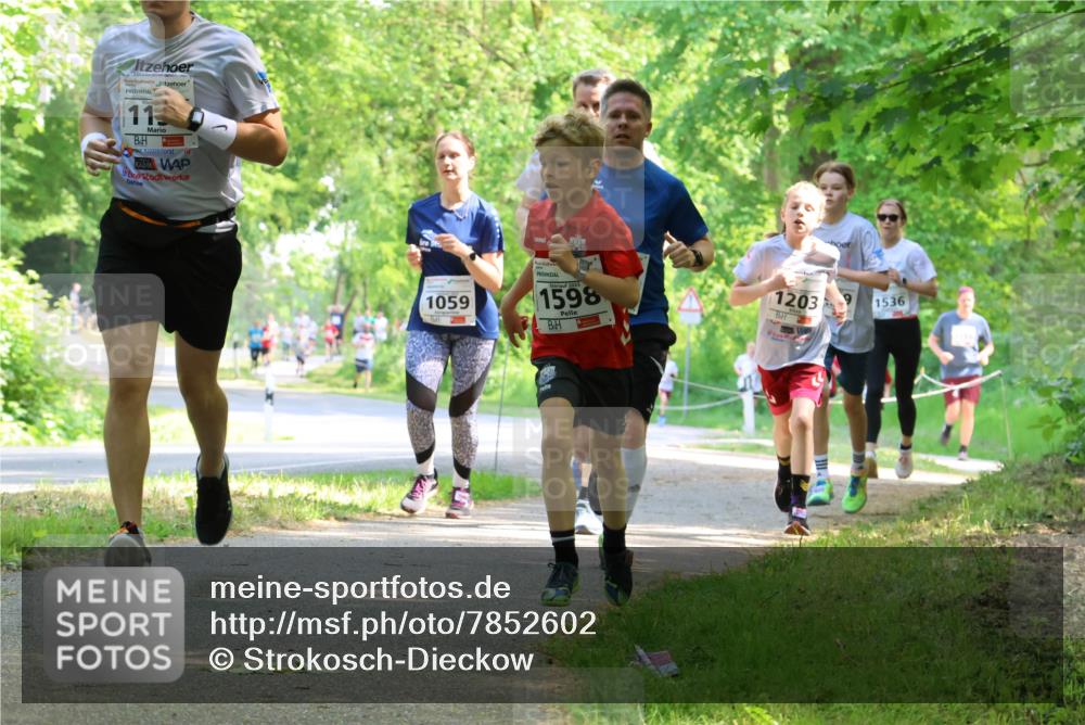 17.05.2025 - Störlauf Strokosch-Dieckow http://msf.ph/oto/7852602 17.05.2025 14:39:59 Laufen 11, 1059, 2025, 1598, 1203, 1536 meine-sportfotos.de