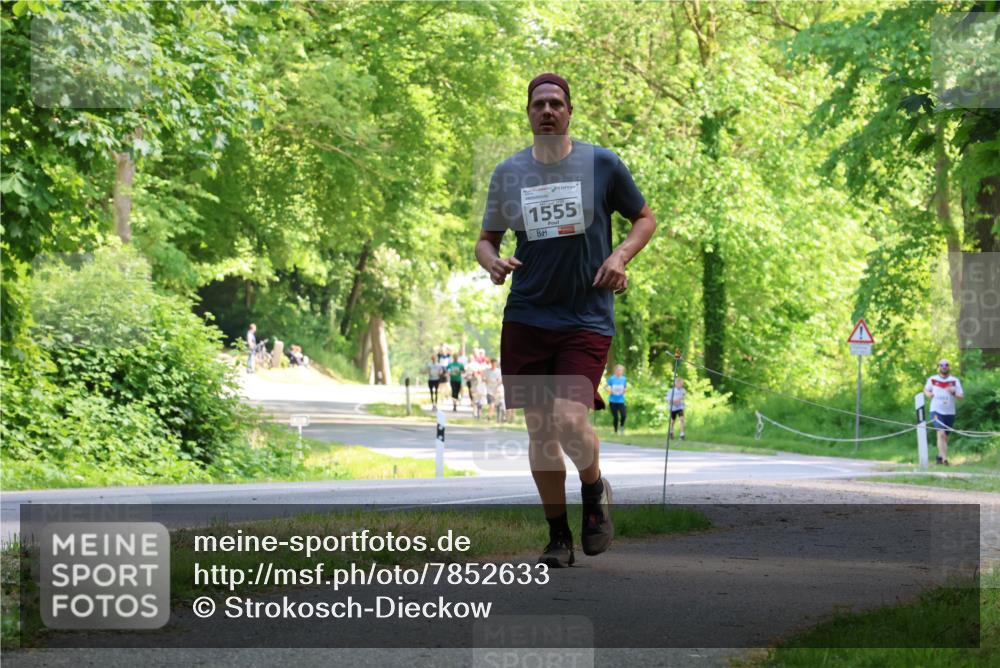 17.05.2025 - Störlauf Strokosch-Dieckow http://msf.ph/oto/7852633 17.05.2025 14:40:11 Laufen 1555 meine-sportfotos.de