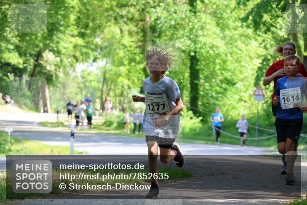 17.05.2025 - Störlauf Strokosch-Dieckow http://msf.ph/oto/7852635 17.05.2025 14:40:15 Laufen 2025, 1277, 1614 meine-sportfotos.de