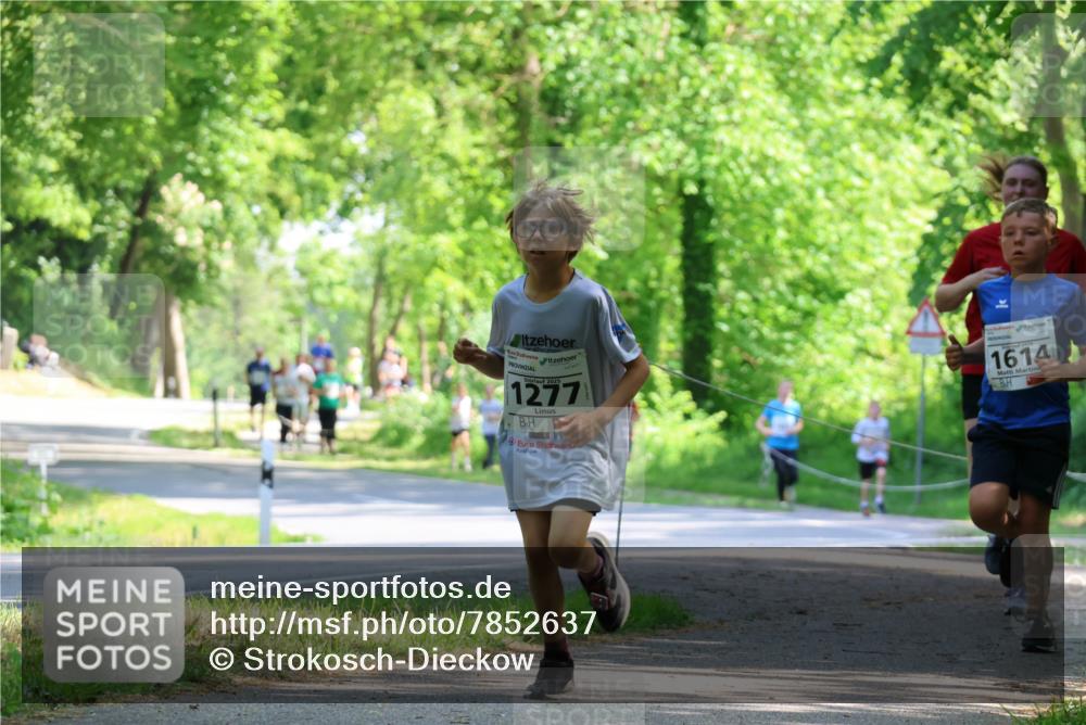 17.05.2025 - Störlauf Strokosch-Dieckow http://msf.ph/oto/7852637 17.05.2025 14:40:15 Laufen 2025, 1277, 1614 meine-sportfotos.de