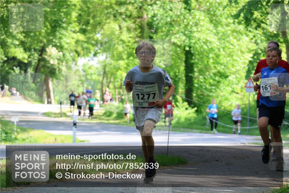 17.05.2025 - Störlauf Strokosch-Dieckow http://msf.ph/oto/7852639 17.05.2025 14:40:15 Laufen 2025, 1277, 161 meine-sportfotos.de