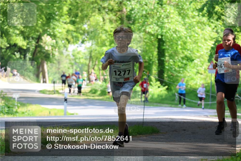 17.05.2025 - Störlauf Strokosch-Dieckow http://msf.ph/oto/7852641 17.05.2025 14:40:15 Laufen 2025, 1277, 161 meine-sportfotos.de