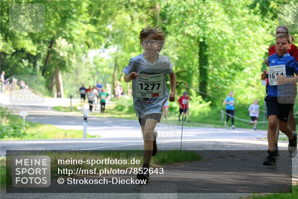 17.05.2025 - Störlauf Strokosch-Dieckow http://msf.ph/oto/7852643 17.05.2025 14:40:15 Laufen 2025, 1277, 16 meine-sportfotos.de