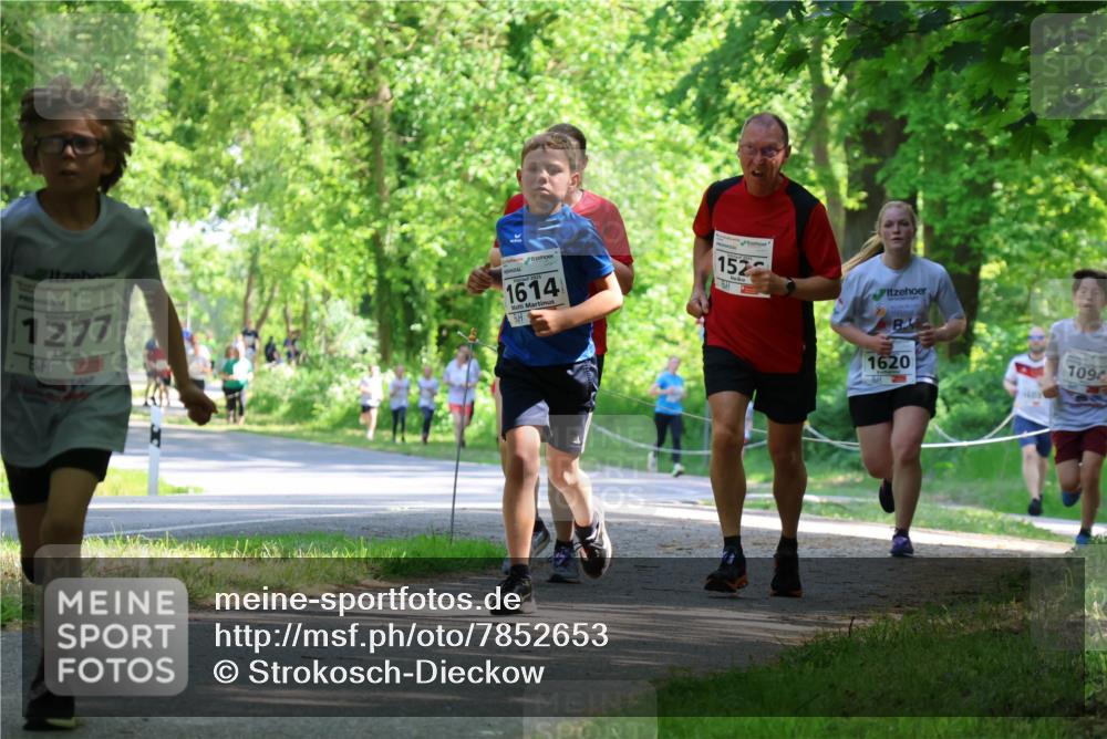 17.05.2025 - Störlauf Strokosch-Dieckow http://msf.ph/oto/7852653 17.05.2025 14:40:17 Laufen 1277, 1614, 152, 1620, 1094, 1603 meine-sportfotos.de