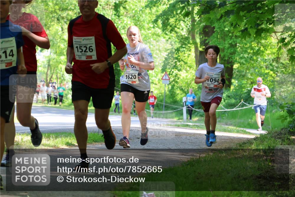 17.05.2025 - Störlauf Strokosch-Dieckow http://msf.ph/oto/7852665 17.05.2025 14:40:19 Laufen 2925, 514, 1526, 1620, 094, 1603 meine-sportfotos.de