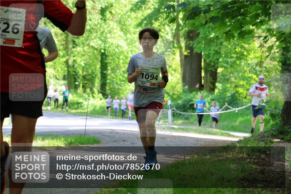 17.05.2025 - Störlauf Strokosch-Dieckow http://msf.ph/oto/7852670 17.05.2025 14:40:21 Laufen 2025, 26, 2025, 1094, 1603 meine-sportfotos.de
