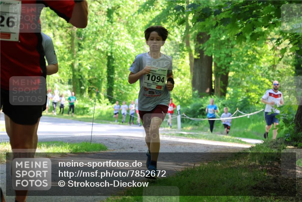 17.05.2025 - Störlauf Strokosch-Dieckow http://msf.ph/oto/7852672 17.05.2025 14:40:21 Laufen 1979, 26, 2025, 1094 meine-sportfotos.de
