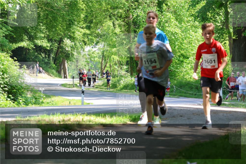 17.05.2025 - Störlauf Strokosch-Dieckow http://msf.ph/oto/7852700 17.05.2025 14:40:37 Laufen 1194, 1601, 1530, 1127 meine-sportfotos.de