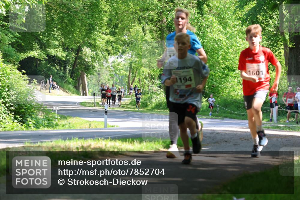17.05.2025 - Störlauf Strokosch-Dieckow http://msf.ph/oto/7852704 17.05.2025 14:40:37 Laufen 194, 1601, 1530 meine-sportfotos.de