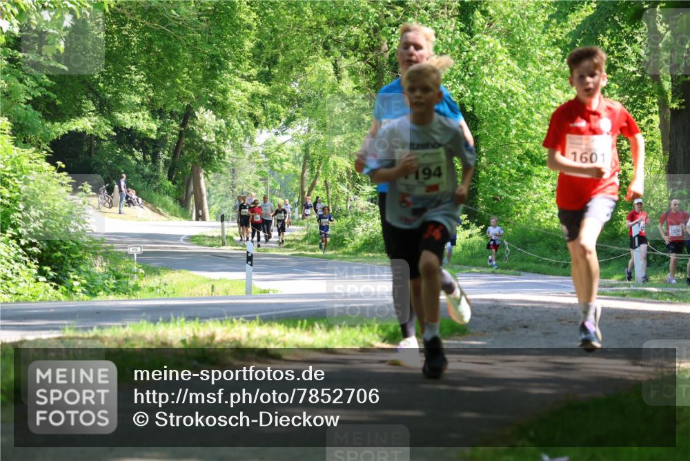 17.05.2025 - Störlauf Strokosch-Dieckow http://msf.ph/oto/7852706 17.05.2025 14:40:37 Laufen 194, 1601, 1530 meine-sportfotos.de
