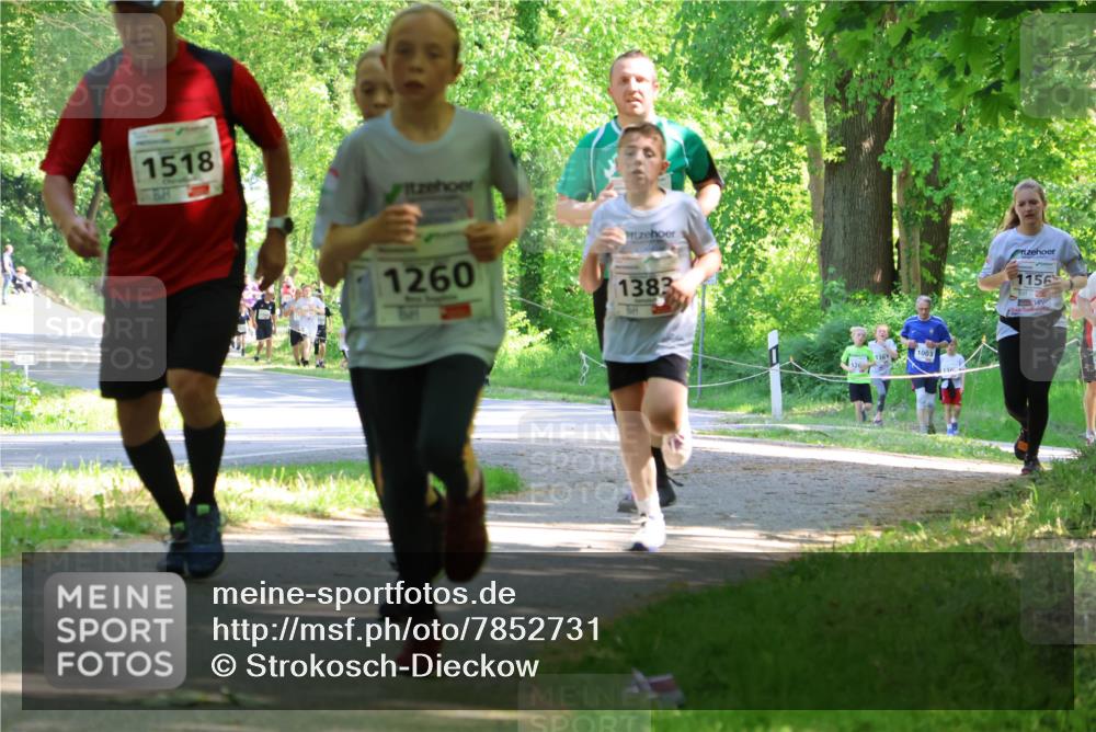 17.05.2025 - Störlauf Strokosch-Dieckow http://msf.ph/oto/7852731 17.05.2025 14:40:47 Laufen 1518, 1260, 1383, 1003, 136, 1156 meine-sportfotos.de