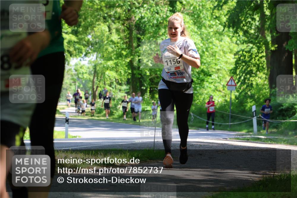 17.05.2025 - Störlauf Strokosch-Dieckow http://msf.ph/oto/7852737 17.05.2025 14:40:50 Laufen 1156 meine-sportfotos.de