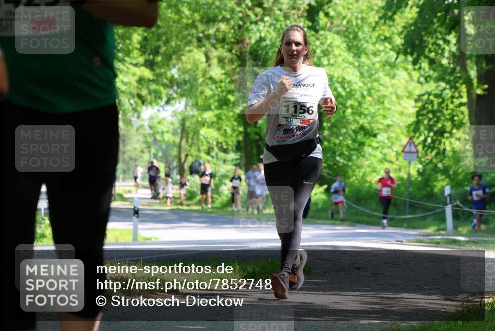 17.05.2025 - Störlauf Strokosch-Dieckow http://msf.ph/oto/7852748 17.05.2025 14:40:51 Laufen 2025, 1156 meine-sportfotos.de