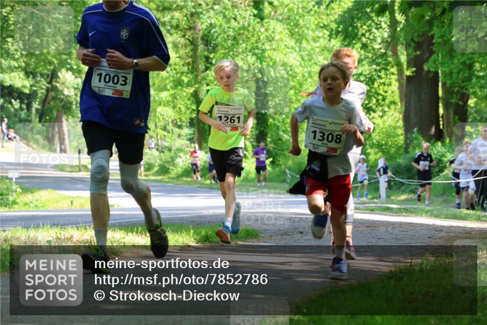 17.05.2025 - Störlauf Strokosch-Dieckow http://msf.ph/oto/7852786 17.05.2025 14:41:04 Laufen 2025, 1003, 1261, 1308, 15 meine-sportfotos.de