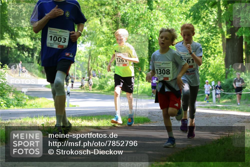17.05.2025 - Störlauf Strokosch-Dieckow http://msf.ph/oto/7852796 17.05.2025 14:41:04 Laufen 1003, 126, 2025, 1308, 61 meine-sportfotos.de