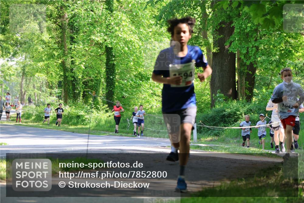 17.05.2025 - Störlauf Strokosch-Dieckow http://msf.ph/oto/7852800 17.05.2025 14:41:09 Laufen 126, 94, 1042 meine-sportfotos.de