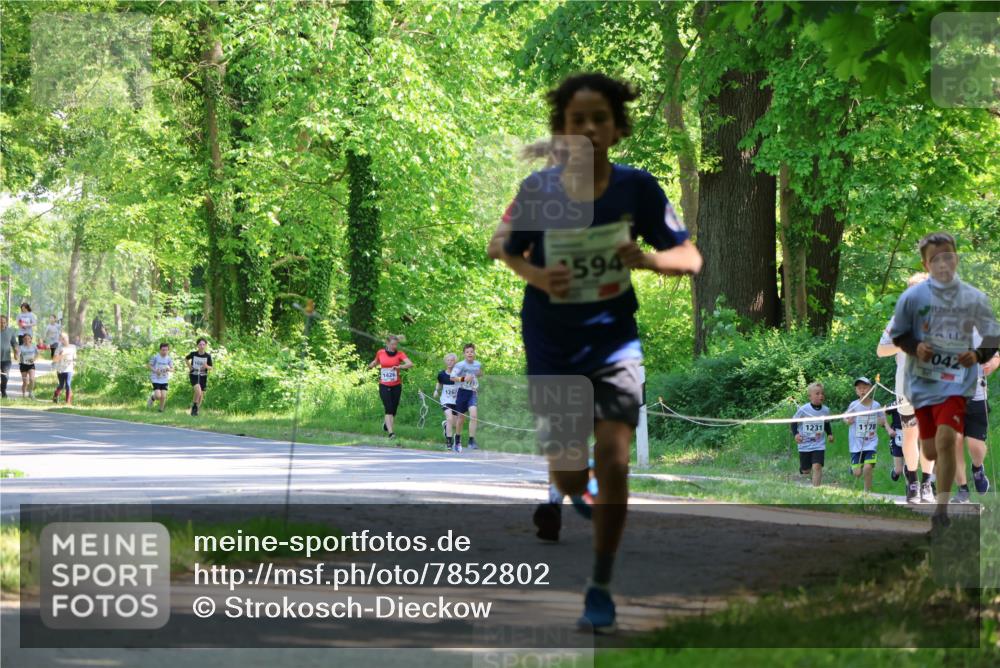 17.05.2025 - Störlauf Strokosch-Dieckow http://msf.ph/oto/7852802 17.05.2025 14:41:09 Laufen 126, 594, 1231, 1178, 042 meine-sportfotos.de