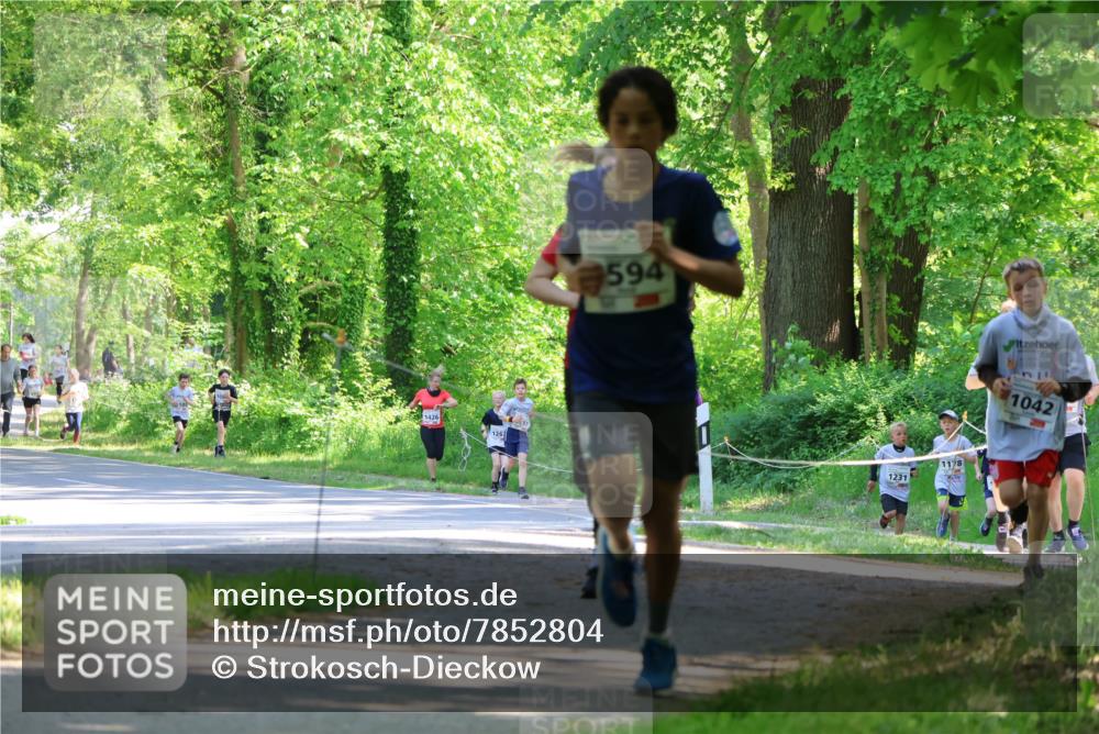 17.05.2025 - Störlauf Strokosch-Dieckow http://msf.ph/oto/7852804 17.05.2025 14:41:09 Laufen 1426, 126, 594, 1231, 1178, 1042 meine-sportfotos.de