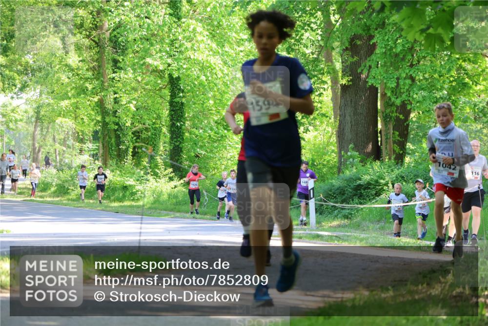 17.05.2025 - Störlauf Strokosch-Dieckow http://msf.ph/oto/7852809 17.05.2025 14:41:09 Laufen 1426, 1197, 1594, 1483, 116, 29 meine-sportfotos.de