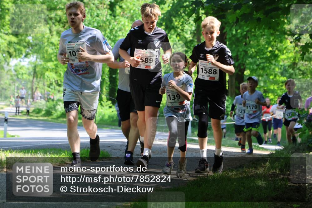 17.05.2025 - Störlauf Strokosch-Dieckow http://msf.ph/oto/7852824 17.05.2025 14:41:20 Laufen 103, 589, 20, 139, 1588, 123, 1178, 1012 meine-sportfotos.de