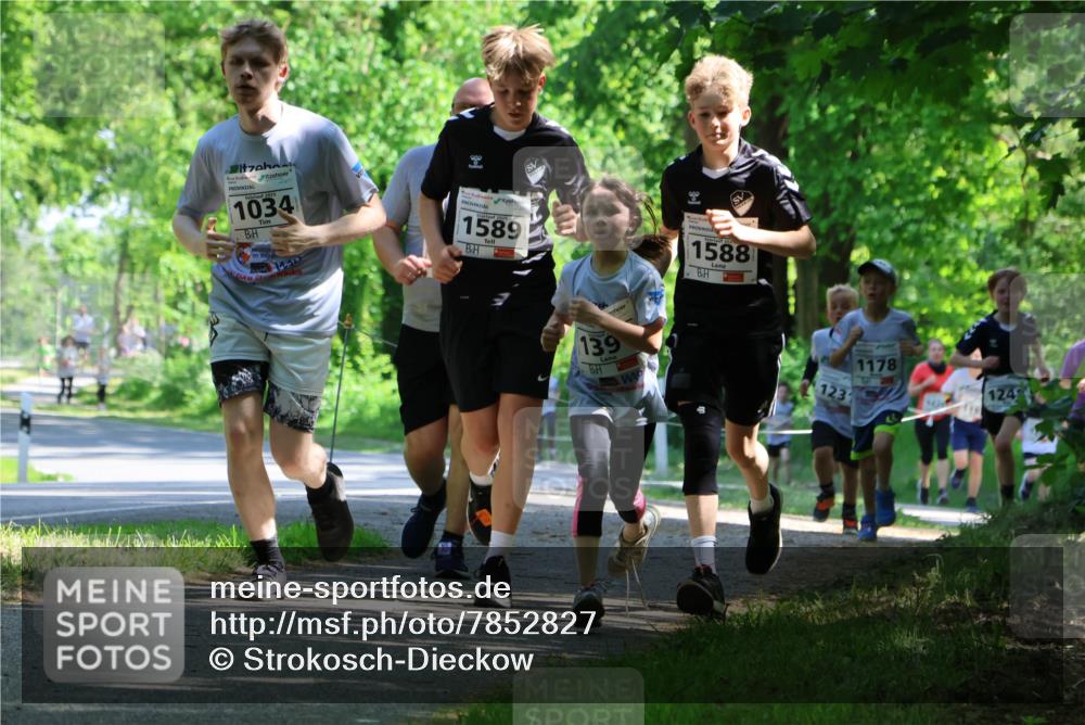 17.05.2025 - Störlauf Strokosch-Dieckow http://msf.ph/oto/7852827 17.05.2025 14:41:20 Laufen 2025, 1034, 2015, 1589, 1588, 139, 123, 1178, 124 meine-sportfotos.de
