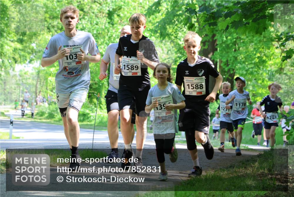 17.05.2025 - Störlauf Strokosch-Dieckow http://msf.ph/oto/7852831 17.05.2025 14:41:21 Laufen 2025, 103, 1589, 2025, 139, 1588, 1231, 1178, 1248 meine-sportfotos.de
