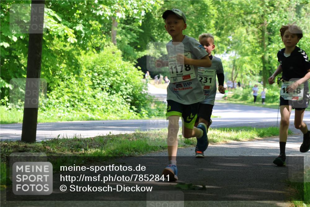 17.05.2025 - Störlauf Strokosch-Dieckow http://msf.ph/oto/7852841 17.05.2025 14:41:26 Laufen 1178, 2025, 231, 1248 meine-sportfotos.de