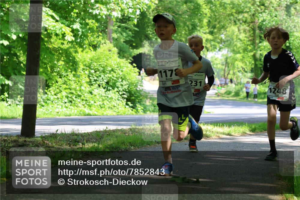 17.05.2025 - Störlauf Strokosch-Dieckow http://msf.ph/oto/7852843 17.05.2025 14:41:26 Laufen 2025, 1178, 2025, 231, 1248 meine-sportfotos.de