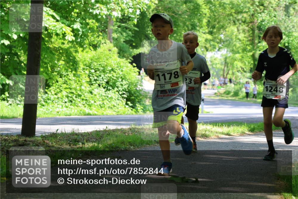 17.05.2025 - Störlauf Strokosch-Dieckow http://msf.ph/oto/7852844 17.05.2025 14:41:26 Laufen 2025, 1178, 3, 1248 meine-sportfotos.de
