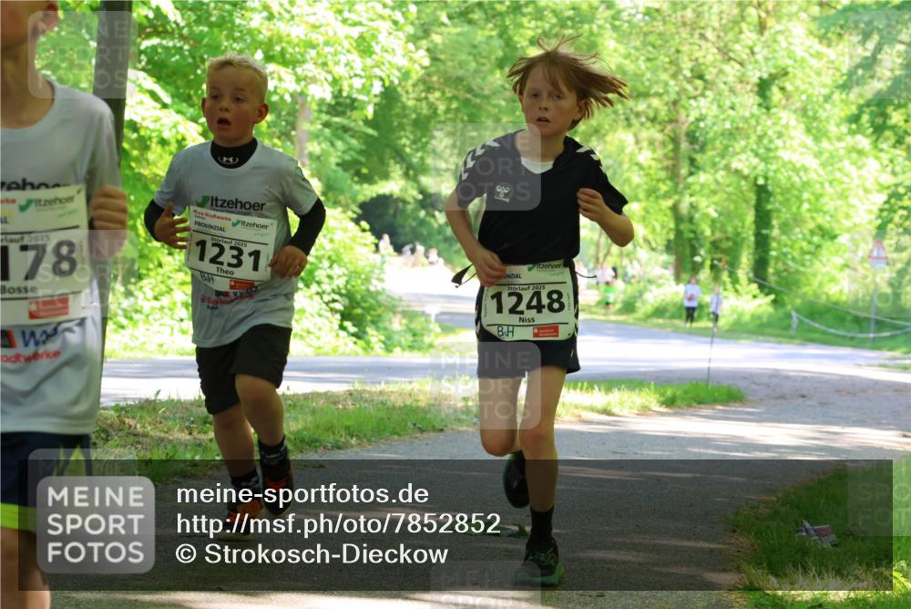 17.05.2025 - Störlauf Strokosch-Dieckow http://msf.ph/oto/7852852 17.05.2025 14:41:28 Laufen 2025, 178, 2025, 1231, 2025, 1248 meine-sportfotos.de