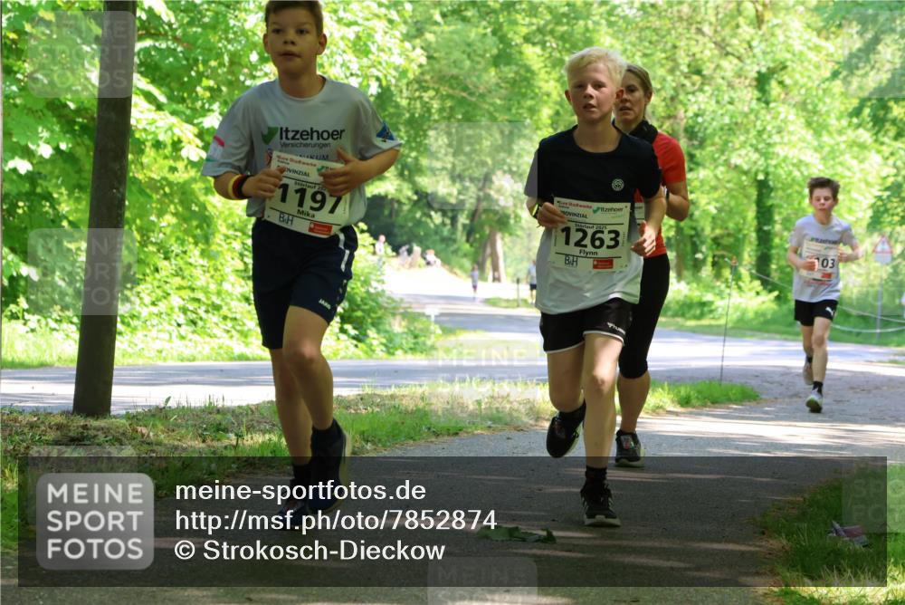 17.05.2025 - Störlauf Strokosch-Dieckow http://msf.ph/oto/7852874 17.05.2025 14:41:36 Laufen 202, 1197, 2025, 1263, 103 meine-sportfotos.de
